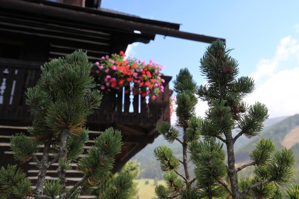 Pension & Appartements Ronacherhof Bad Kleinkirchheim Dış mekan fotoğraf