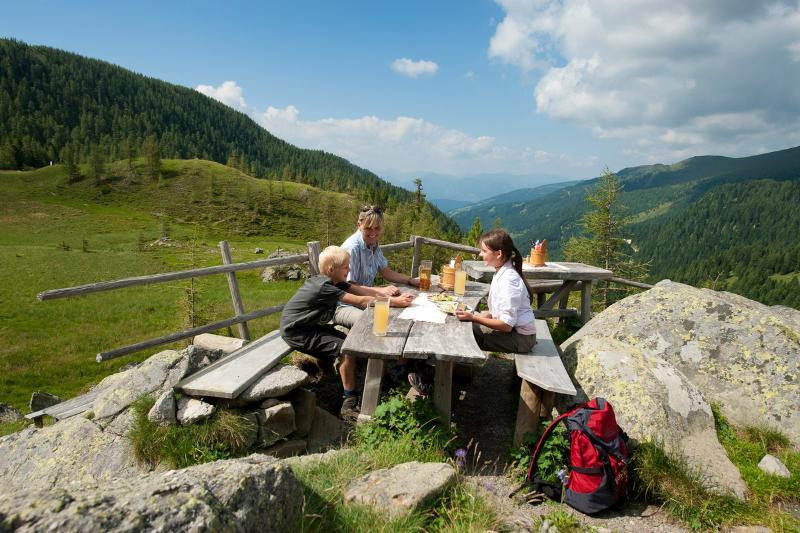 Pension & Appartements Ronacherhof Bad Kleinkirchheim Dış mekan fotoğraf